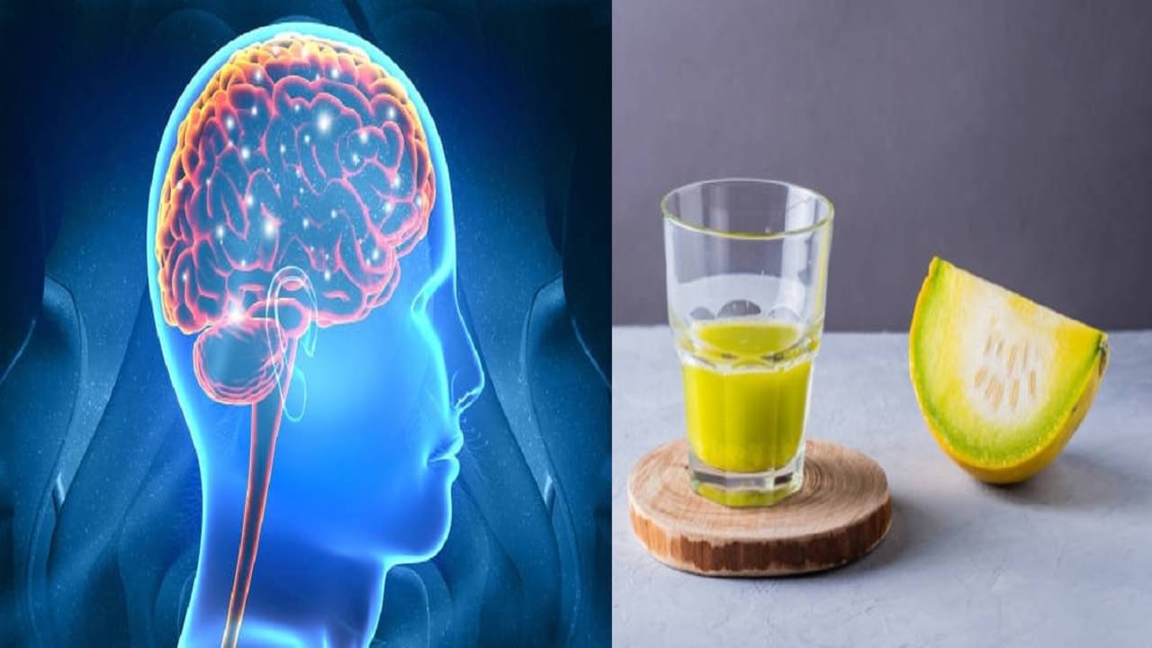 Ash gourd benefits: দাম মাত্র ৪০, তবে এই সবজিই কিন্তু সুস্থ রাখতে পারে আপনার হার্ট, ফুসফুস ও মন, জানেন কি?