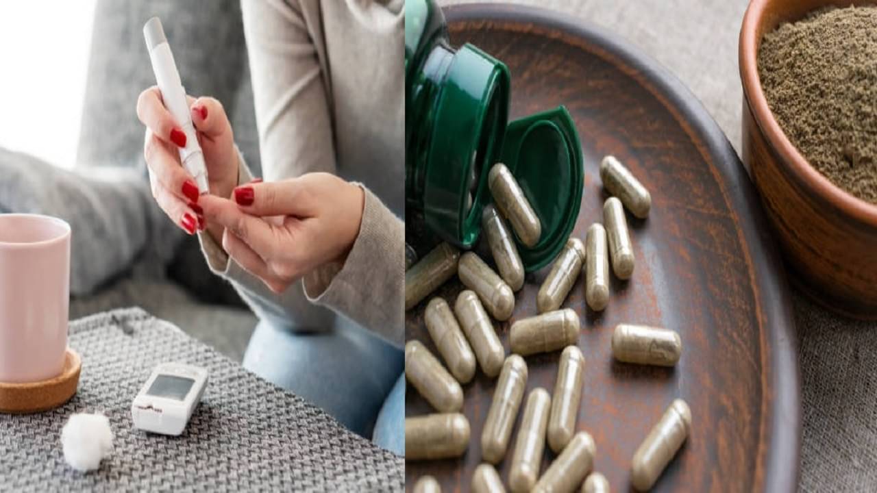 Ayurvedic Churna: এই ৫ আয়ুর্বেদ চূর্ণ ডায়াবেটিসের যম, বানিয়ে নিতে পারেন বাড়িতেই