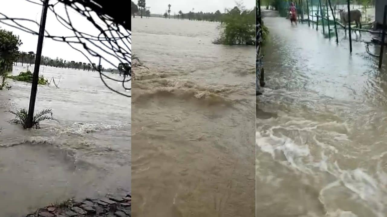 Khejuri weather Update: ভয়াবহ খেজুরি! জলমগ্ন একাধিক গ্রাম, ভেসে গেল বাড়ির ছাদও, দুর্দশায় গ্রামবাসী