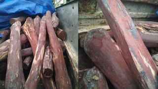 Wood Smuggling: পাচারকারীদের ধরতে গিয়ে এলাকাবাসীর হাতেই আক্রান্ত বনকর্মীরা, উত্তেজনা তুফানগঞ্জে