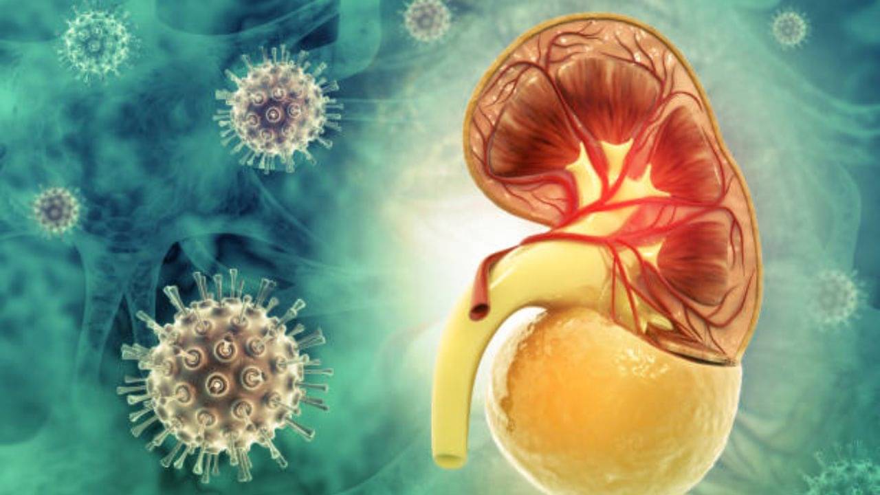 Kidney Failure Symptoms: খিদে কমার সঙ্গে ক্লান্তিও কি বাড়ছে? এড়িয়ে যাবেন না, গুরুতর কিডনি সমস্যার লক্ষণ...