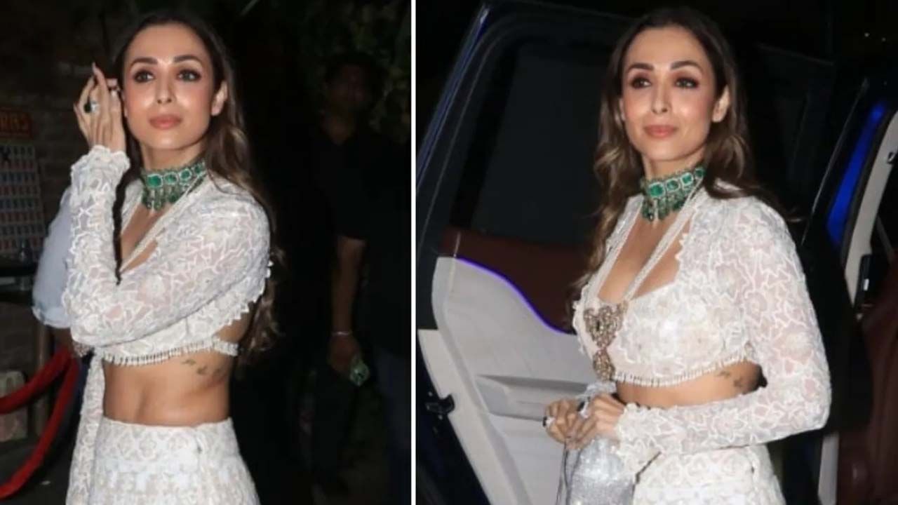 Malaika Arora: শাহরুখ নন, এ কার সঙ্গে মালাইকা নাচলেন ‘ছ্যাইয়া ছ্যাইয়া’ গানে, ভাইরাল ভিডিয়ো