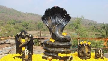 Nag Panchami 2022: আপনার রাশিতে কি রাহুর অবস্থান রয়েছে? সর্পদোষ কাটাতে জ্যোতিষমতে পুজো পদ্ধতি জেনে নিন