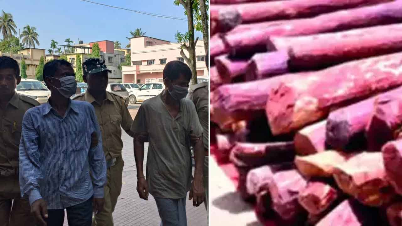 Sandalwood Smuggling: গোপন ডেরায় লুকনো কয়েক কোটির চন্দনকাঠ, পুষ্পা গ্যাং-এর সদস্যদের হাতেনাতে ধরল বন দফতর