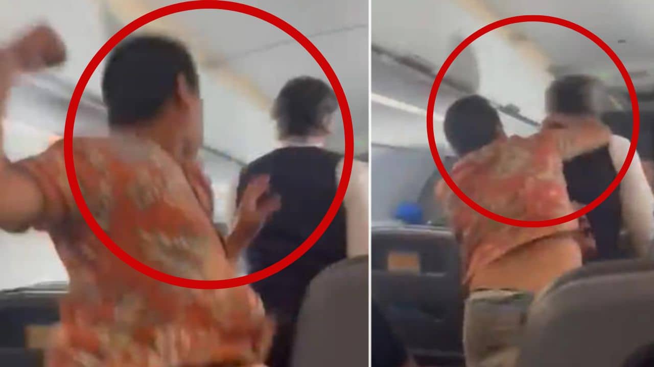 Video: শুধু কফি দেয়নি বলে বিমান সেবিকার সঙ্গে এমন ঘৃণ্য কাজ!