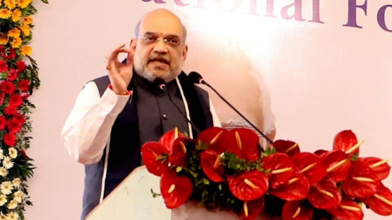 Amit Shah: হিন্দি কোনও ভাষার প্রতিযোগী নয়, বরং…, হিন্দি দিবসে হিন্দি-বিতর্কে জল ঢাললেন অমিত শাহ
