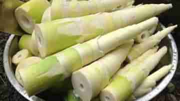 World Bamboo Day: আজব ব্যাপার! বাঁশ খেয়ে সুগার কমাতে পারেন ডায়াবেটিস রোগীরা, জানুন কীভাবে