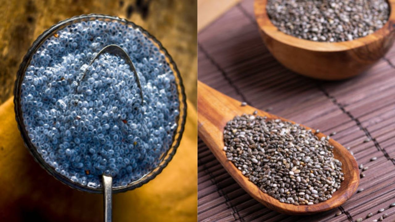 Sabja Seeds vs Chia Seeds