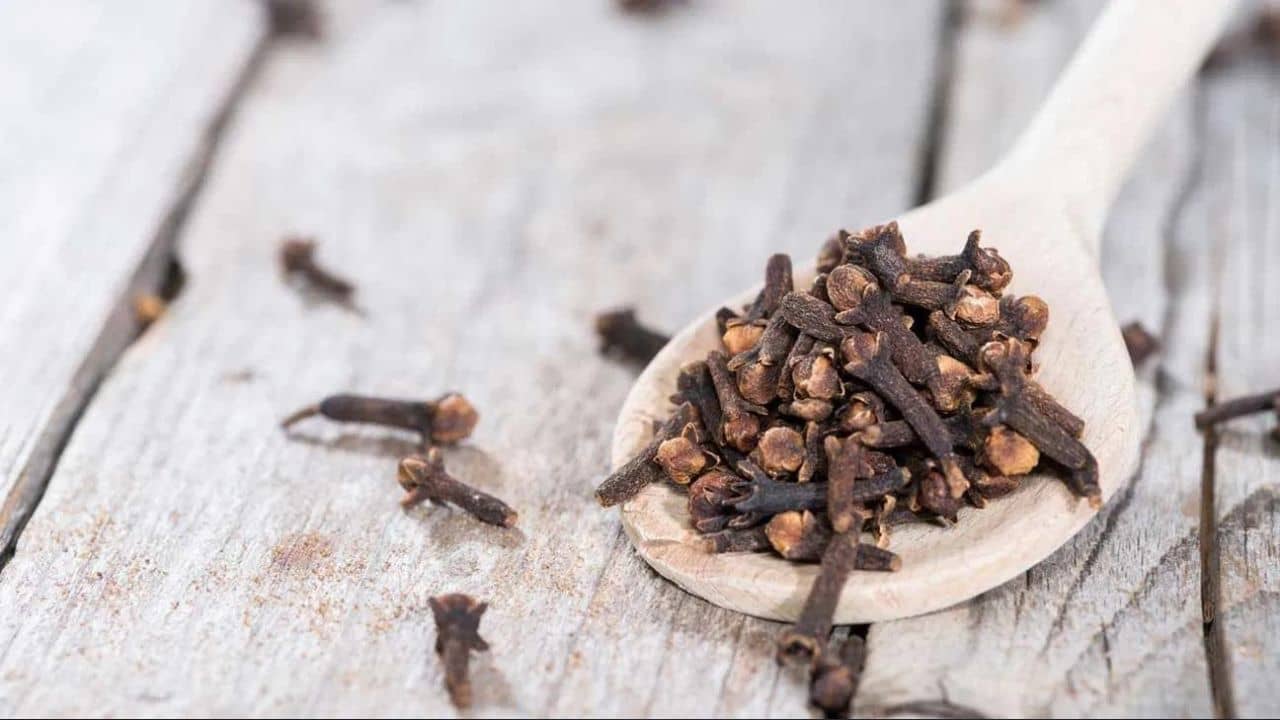 Clove Benefits: অফিসের গুরুত্বপূর্ণ কাজে বারবার ব্যর্থ হলে লবঙ্গের প্রতিকারগুলি মেনে চলুন