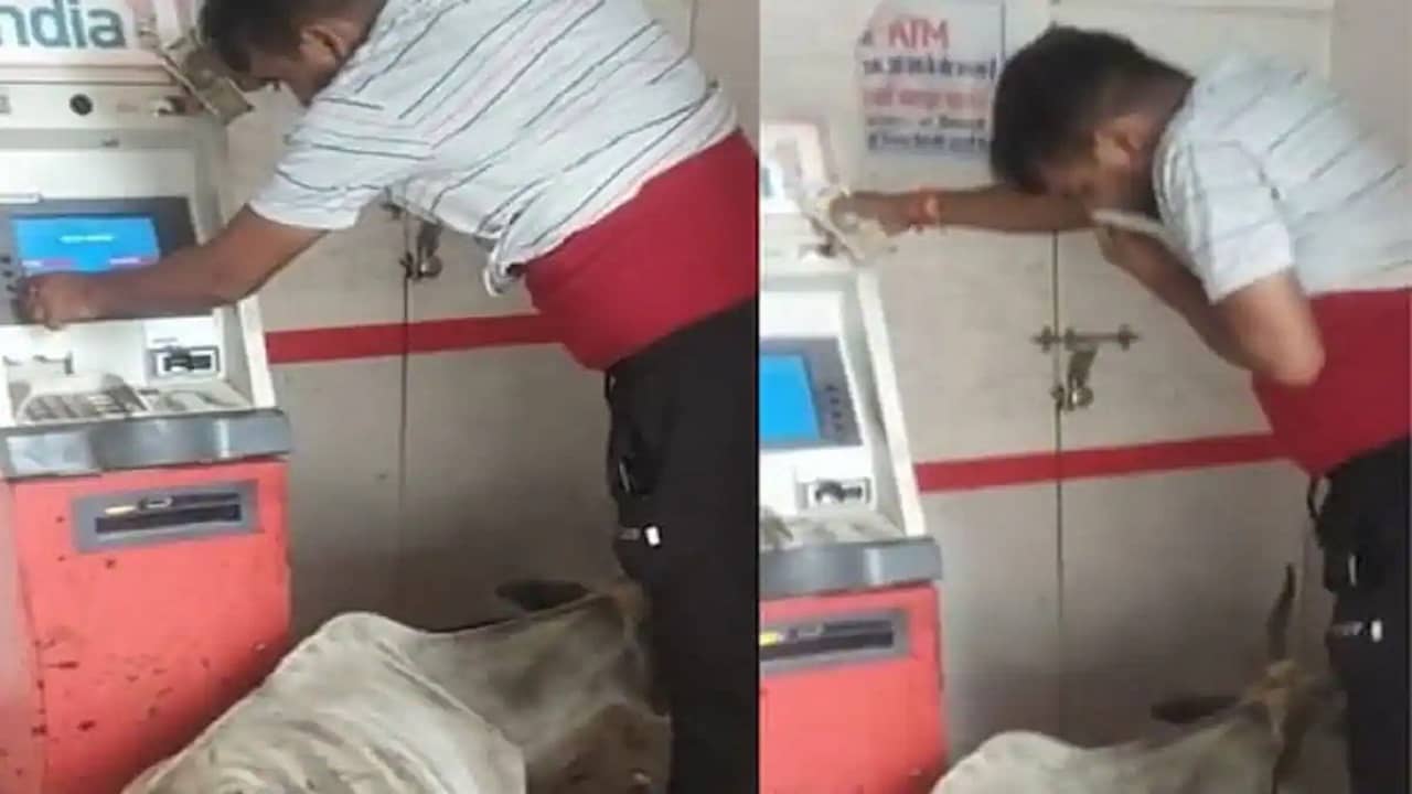 Viral Video: এটিএমে আসন গেড়ে বসে এক গরু, গোবরের গন্ধে নাকে রুমাল চেপে টাকা তুলছেন গ্রাহকরা