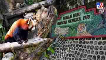Darjeeling Zoo: আরও উচ্চতা বাড়ল দার্জিলিং চিড়িয়াখানার, পেল সেরার তকমা