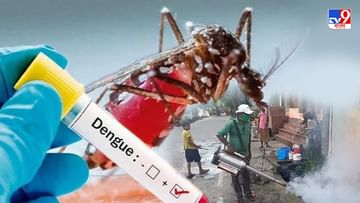 Dengue: রাজ্যে নতুন করে কতটা বাড়ল ডেঙ্গি আক্রান্তের সংখ্যা? পরিস্থিতি নিয়ন্ত্রণে শীঘ্রই বৈঠক স্বাস্থ্য সচিবের