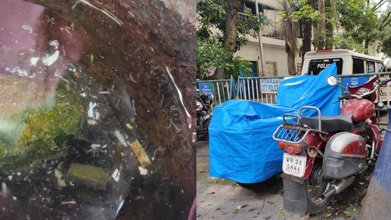 Dengue Update: শহরে ডেঙ্গি আতঙ্ক, ভবানী ভবনেও মিলল মশার লার্ভা