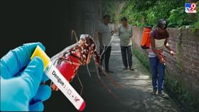 Dengue in West Bengal: প্লেটলেট একই থাকলেও কমছে অক্সিজেনের মাত্রা, ডেঙ্গির সঙ্গে মিশছে কোভিড? Dengue in West Bengal: প্লেটলেট একই থাকলেও কমছে অক্সিজেনের মাত্রা, ডেঙ্গির সঙ্গে মিশছে কোভিড?