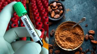 Red Chilli Powder: আপনার লাল লঙ্কার গুঁড়োতে ভেজাল মেশানো নেই তো! চিনবেন কীভাবে?