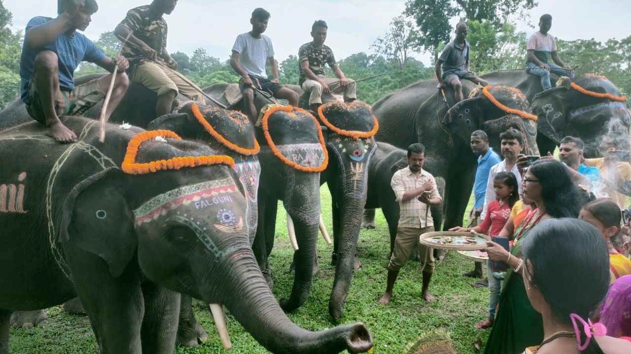 Biswakarma Puja: বিশ্বকর্মার প্রতিমা নয়, 'বাহন' হাতির পুজো হয় এখানে, সাক্ষী থাকেন পর্যটকরাও