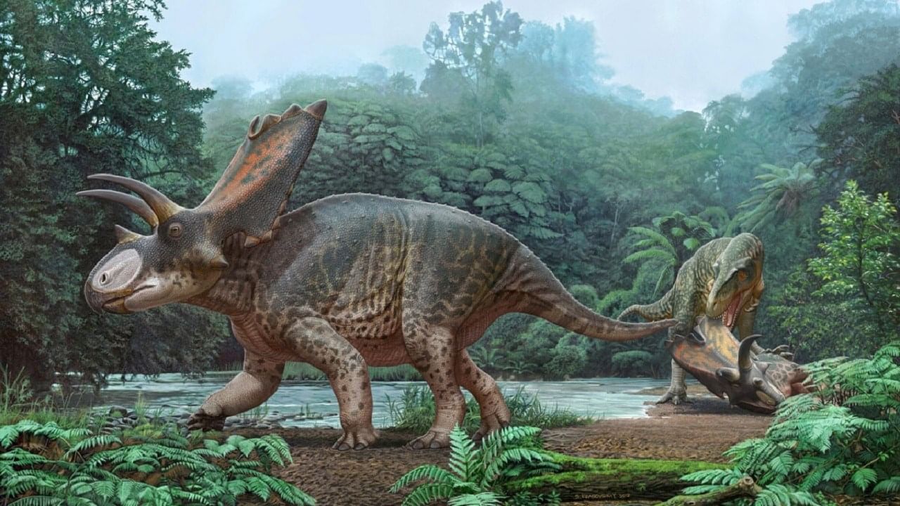 Largest Dinosaur: এখনও পর্যন্ত বিশ্বের সবথেকে বড় ডাইনোসর কঙ্কালের অবশেষ মিলল পর্তুগালে