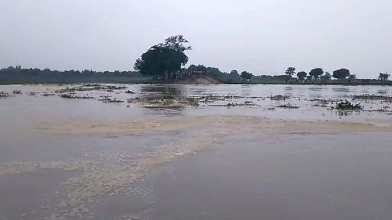 Hooghly Ganga হুগলিতে গঙ্গা বক্ষে ভাঙন রুখতে তৎপর সেচ দফতর Bengali