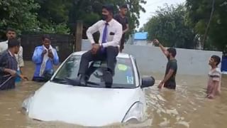 Viral Video: গাছ থেকে এক লাফে কুমিরের উপর ঝাঁপ, জাগুয়ারের ভয়ঙ্কর আক্রমণে নেটিজ়েনদের চক্ষু চড়কগাছ