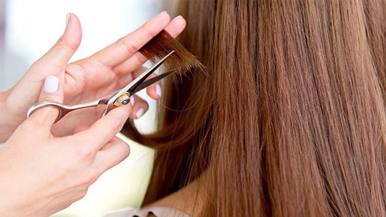 Hair care tips: শতচেষ্টা করেও নতুন করে চুল গজাচ্ছে না! রইল ৫টি জরুরি কারণ