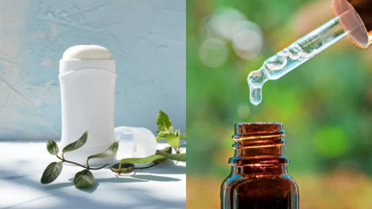Tea Tree Oil: বাজারচলিত ডিওডোরেন্টে কাজ দেয় না? টি ট্রি অয়েলর গুণে দূর হবে শরীরের দুর্গন্ধ