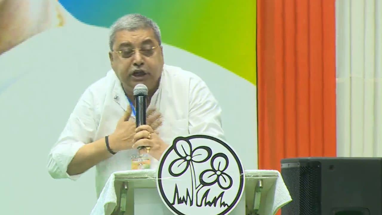 Kalyan Banerjee: ‘হাত ভেঙে গুঁড়িয়ে দেওয়ার ক্ষমতা রাখি’, মমতা-অভিষেকের সামনেই রণংদেহি কল্যাণ