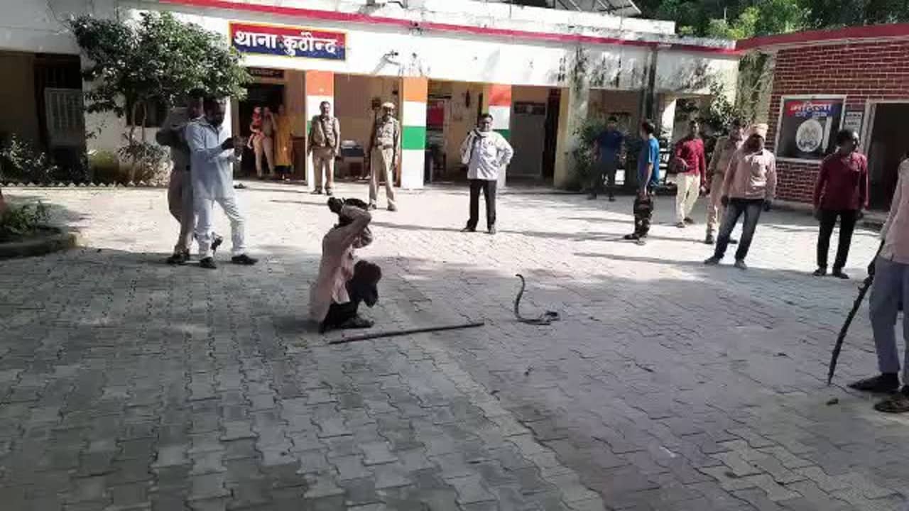 King Cobra: উত্তর প্রদেশের জালাউনের একটি থানায় হঠাই কিং কোবরার হানা, সামলাতে হিমশিম খেলেন পুলিশকর্মীরা