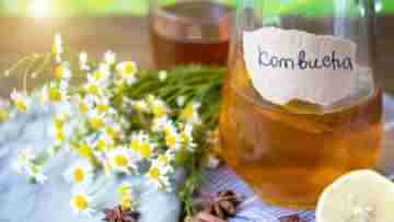 Kombucha Tea: পুজোর আগে ত্বকের জেল্লা ফেরাতে চান? এবার এই জাপানি চা দিয়ে রূপচর্চা সারুন