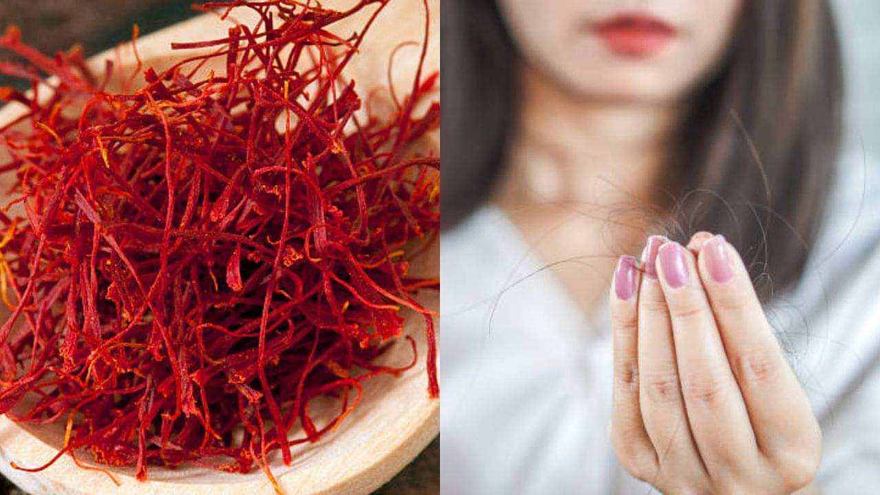 Saffron: চুল পড়ার সমস্যায় নাজেহাল? এক চিমটে কেশরের গুণে হয়ে উঠুন কেশবতী