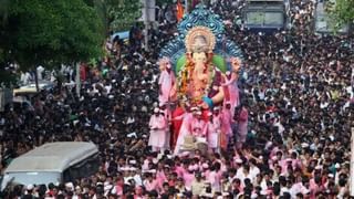 Astro Tips: বাড়িতে অশ্বত্থ গাছ জন্মালে ইচ্ছেমতো সরানো যায় কি?  জ্যোতিষমতে কী করণীয়