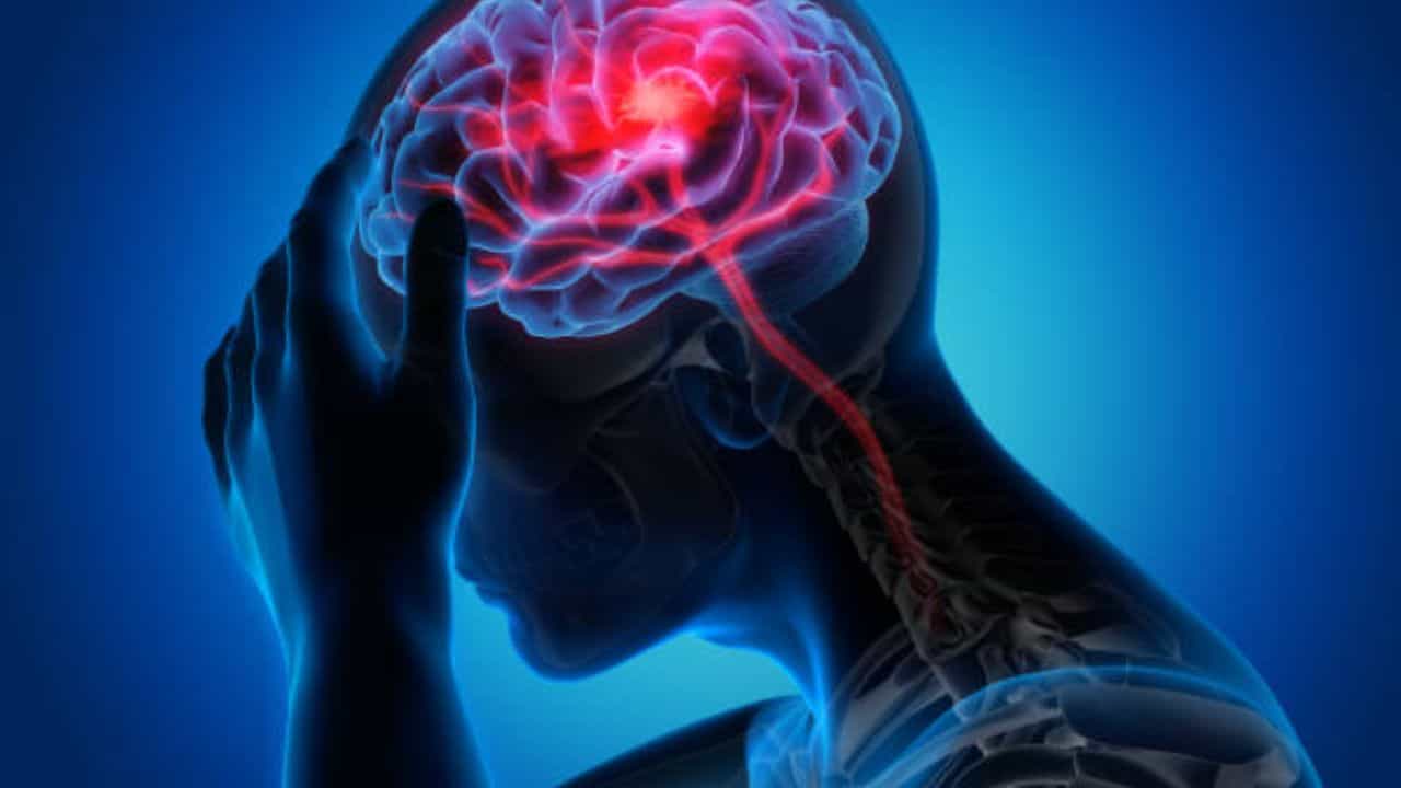Brain Stroke: কেন হয় ব্রেন স্ট্রোক, লক্ষণই বা কী? যে ভাবে খেয়াল রাখবেন নিজের ও প্রিয়জনদের...