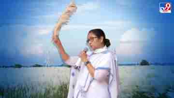 Mamata Banerjee: কাশফুল আমার খুব ফেভারিট, ব্যঙ্গ নিয়ে খোঁচা মমতার