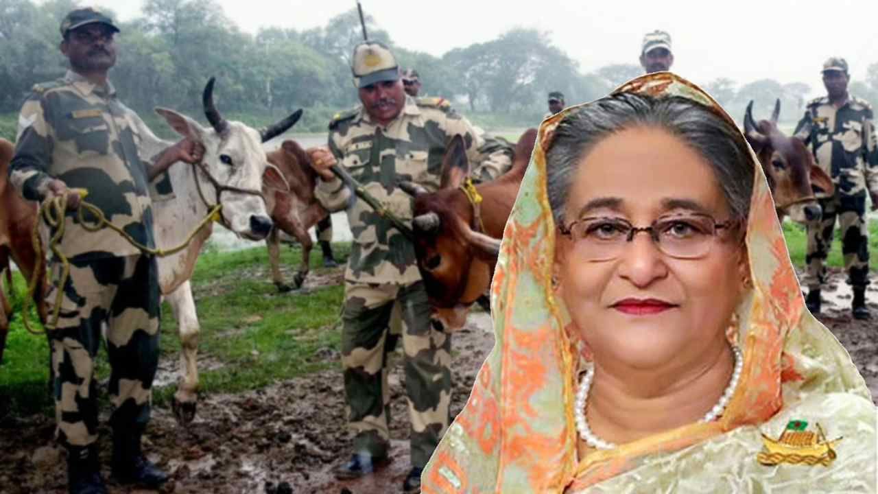 Hasina on Cattle smuggling: 'ধৈর্য দেখানো উচিত', ভারত-বাংলাদেশ গরু পাচার নিয়ে মুখ খুললেন বাংলাদেশি প্রধানমন্ত্রী হাসিনা