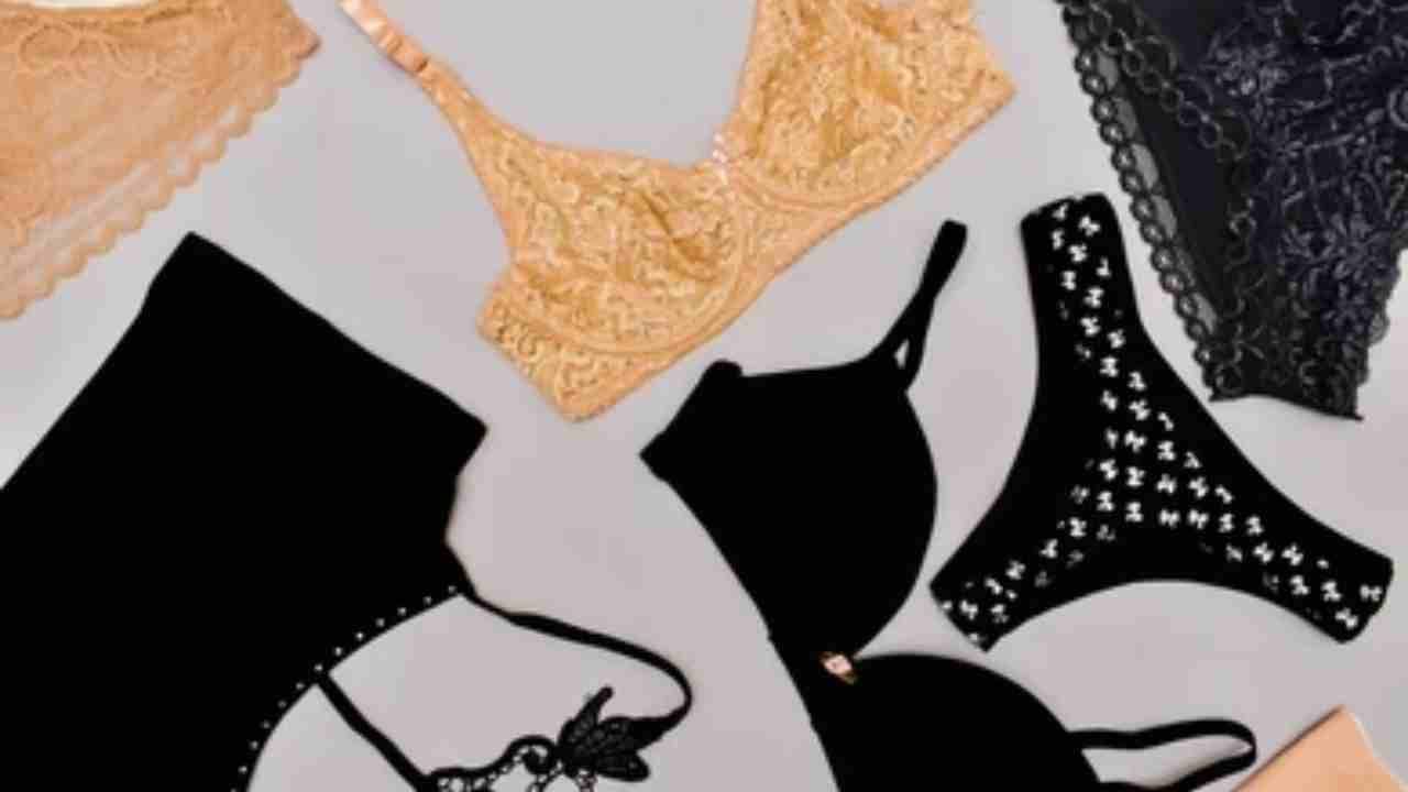 Man steals women's undergarments: একের পর এক বাড়ি থেকে চুরি মহিলাদের অন্তর্বাস, সিসিটিভি ফুটেজ দেখে অবাক পুলিশ