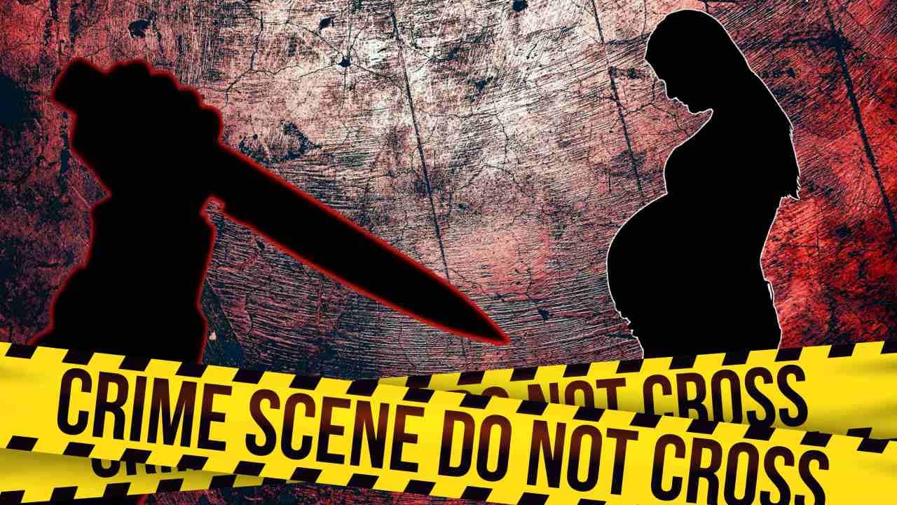 Texas: গর্ভবতী বান্ধবীকে ১০০বার ছুরিকাঘাত, পেট কেটে বাচ্চাও চুরি করল যুবতী