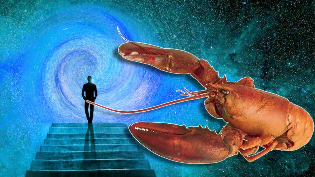 Immortal Human 'অমর' হবে মানুষ? চাবিকাঠি লুকিয়ে গলদা চিংড়িতে