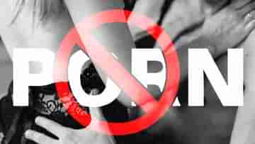 India bans websites: আরও ৬৭ টি পর্নোগ্রাফিক সাইট নিষিদ্ধ করল ভারত সরকার