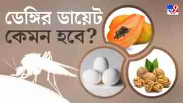 Dengue Diet: প্লেটলেট বাড়ছে, ডেঙ্গি আক্রান্তের খাদ্যতালিকা নিয়ে পরামর্শ বিশিষ্ট পুষ্টিবিদের