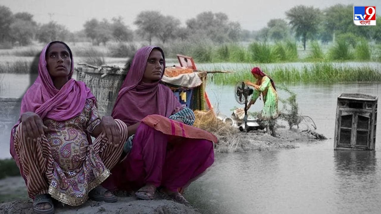 Pakistan Flood : বন্যায় ভাসছে পাকিস্তান, উদ্বেগে দিন কাটছে সাড়ে ৬ লক্ষ গর্ভবতীর