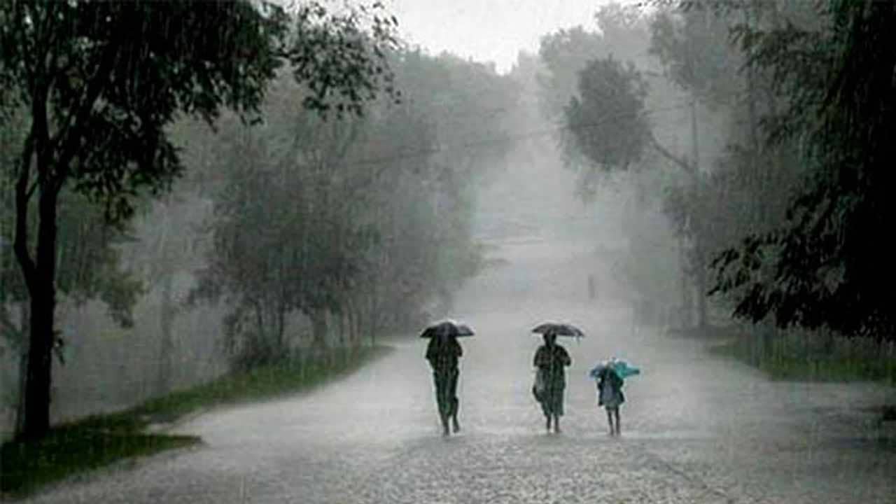 Weather Report: উত্তরবঙ্গ হয়ে মৌসুমী অক্ষরেখা এগোচ্ছে অসমের দিকে, গরম কি একটু কমবে?