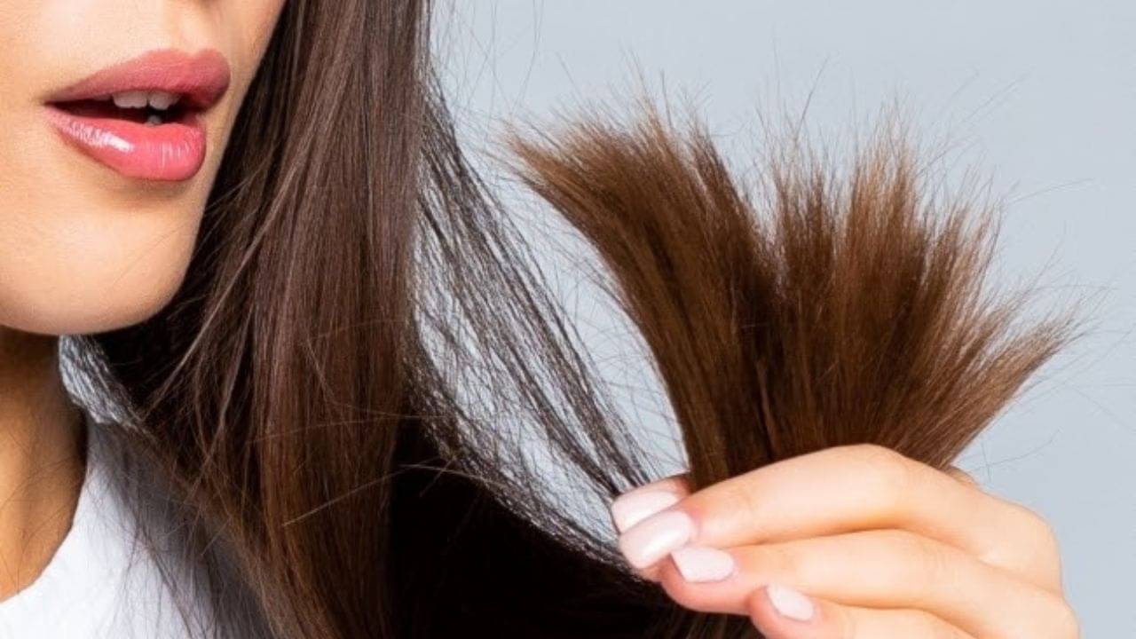 Split Ends Problems: চুলের আগায় ফাটল ধরলে ট্রিম করেন নাকি! ঘরোয়া টোটকায় কীভাবে মিটবে সমস্যা, জানুন