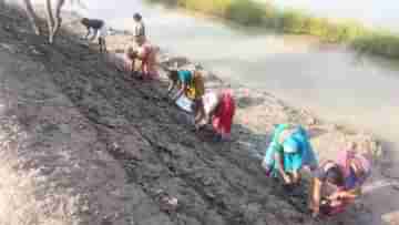 Sundarbans Flood Situation: ভেঙেছে সুইচ গেট, সুন্দরবনের বিস্তীর্ণ এলাকা প্লাবিত, বড় বিপদের আশঙ্কা