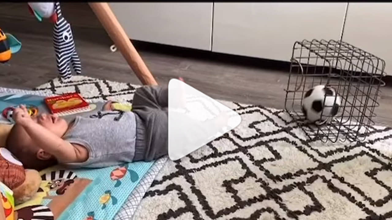 Viral Video: শুয়ে শুয়ে অব্যর্থ নিশানায় গোল করছে একরত্তি, সোশ্যাল মিডিয়ায় ভাইরাল ভিডিয়ো