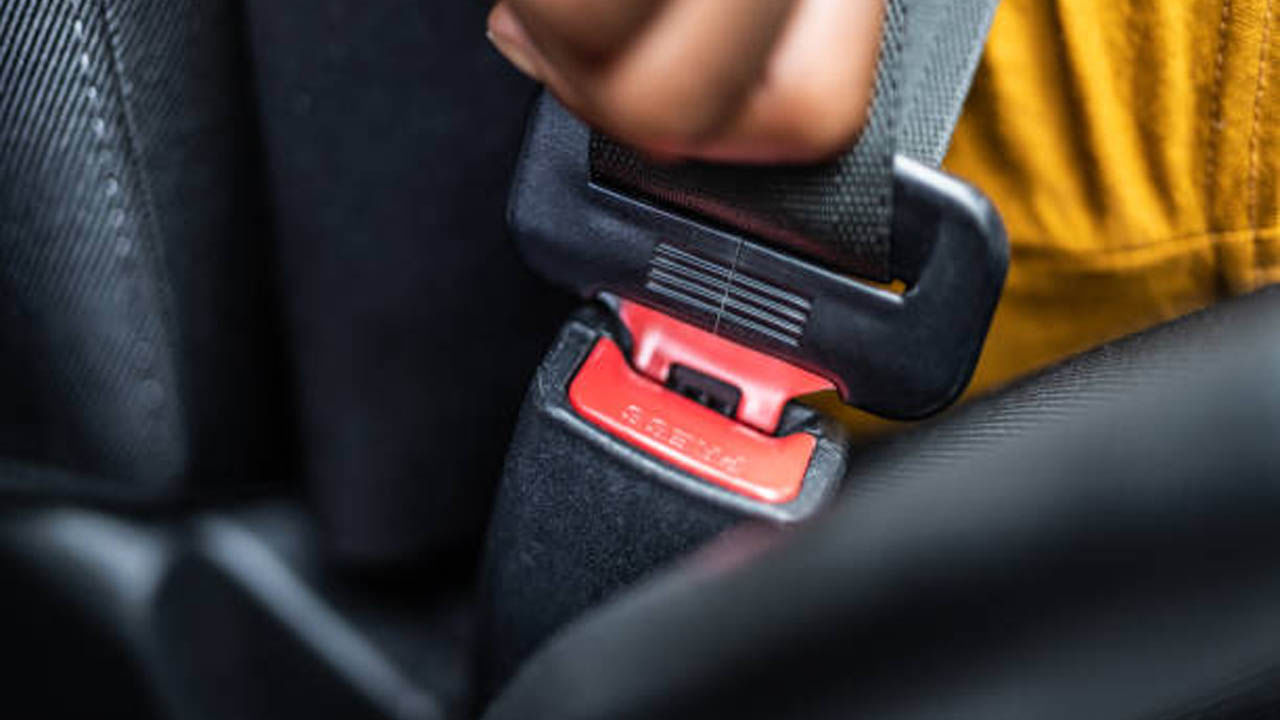Seat Belt: পিছনের আসনেও বাঁধতে হবে সিট বেল্ট, সাইরাসের মৃত্যুর পর কড়া আইনের পথে কেন্দ্র