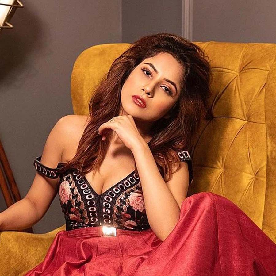 Shehnaz Gill fans can't wait to see her on the big screen especially in Bollywood movies.  The actress is set to make her Hindi film debut with 