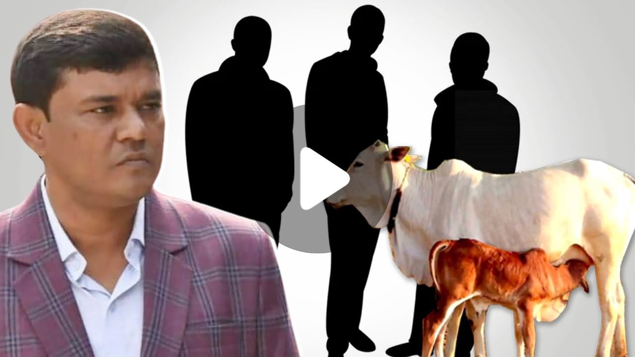 Cow Smuggling Case: গরু পাচার মামলায় এনামুলের তিন ভাগ্নের বিরুদ্ধে জারি গ্রেফতারি পরোয়ানা