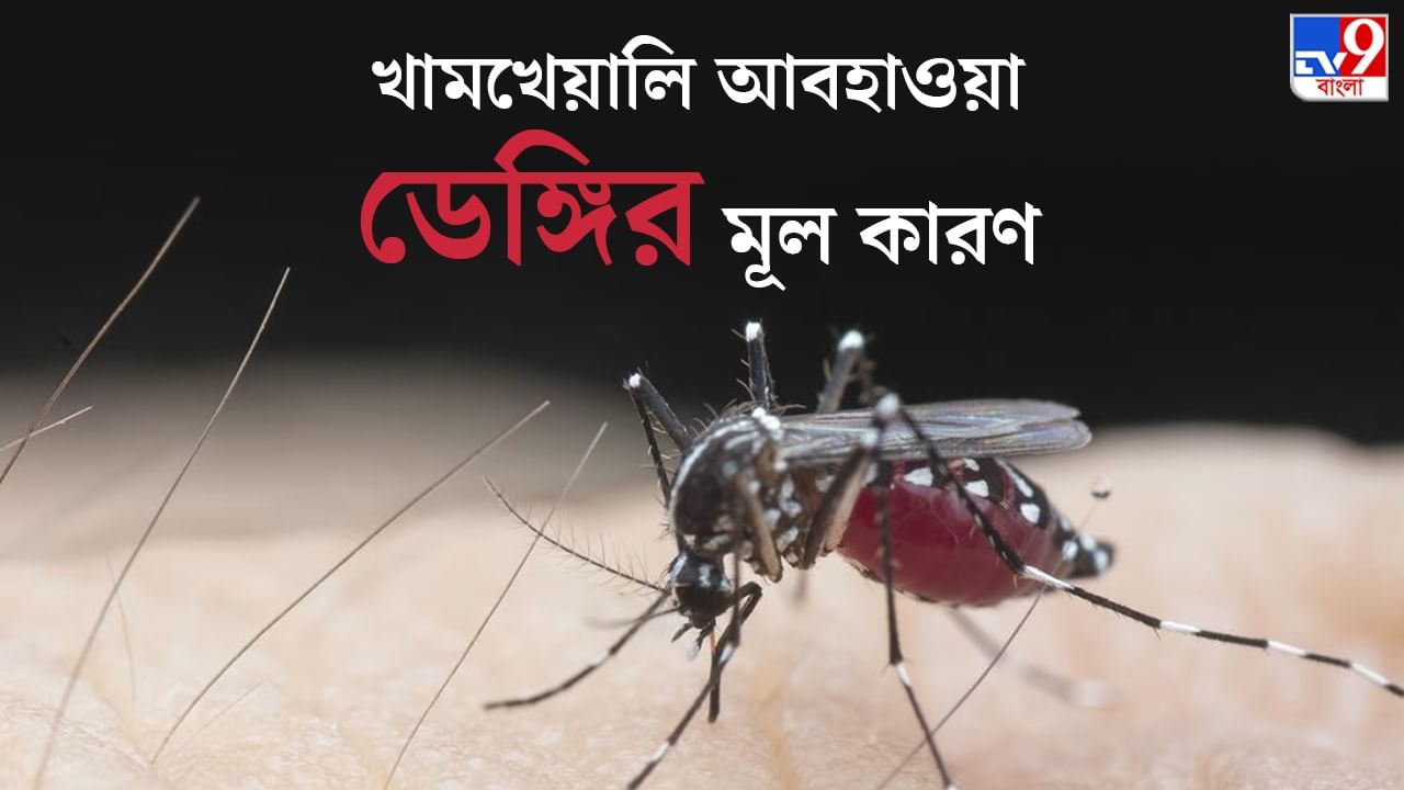 West Bengal Dengue Case: এবার কিছু ডেঙ্গি আক্রান্তের ক্ষেত্রে কাশিও থাকছে, এ প্রসঙ্গে যা জানালেন বিশিষ্ট চিকিৎসক