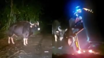 Viral video: A wild elephant overturned a car in extreme rage late at night, you will wake up after watching the scary video of Kerala...