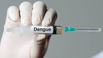Dengue in West Bengal: মাত্র একদিনেই রাজ্যে ডেঙ্গি আক্রান্ত প্রায় ১ হাজার, দুশ্চিন্তা বাড়াচ্ছে সল্টলেক