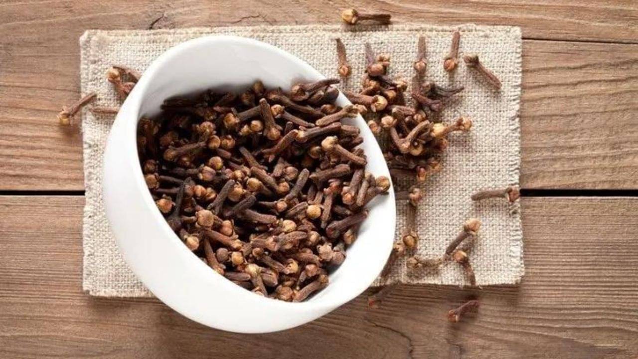 Chewing Clove: প্রতিদিন খালি পেটে ২টি লবঙ্গ চিবিয়ে খেলেই উধাও হবে এই ৯ জটিল অসুখ!